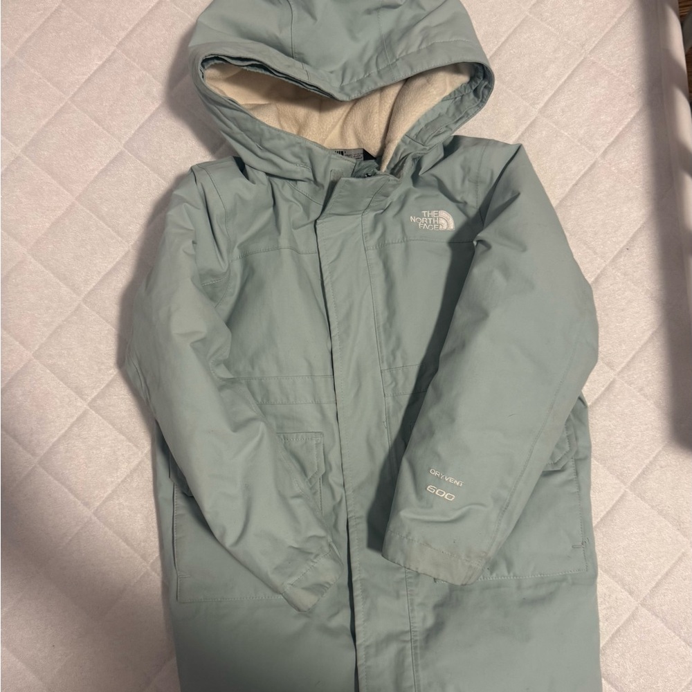 The North Face Hooded Parka in Sage